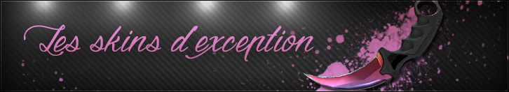 Consultez notre liste des skins rares http://www.vakarm.net/news/read/Les-skins-d-exception/5581